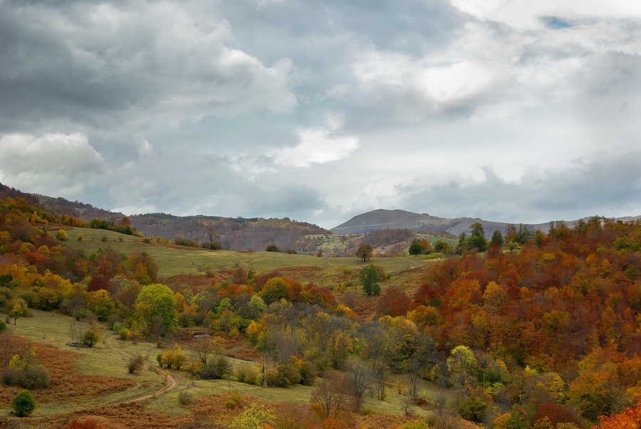 Натиснете снимката за да я уголемите
Име:IMGP4695-r.jpg
Прегледи:1
Размер:305.8 КБ
ID:6030774