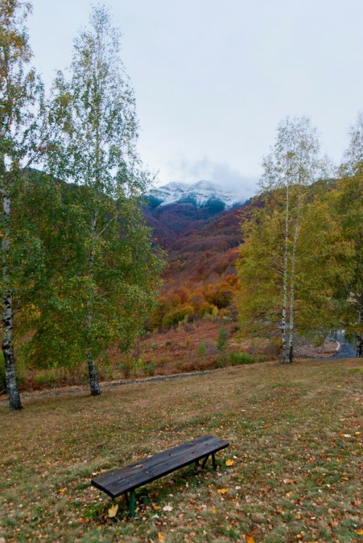 Натиснете снимката за да я уголемите
Име:IMGP4731-r.jpg
Прегледи:1
Размер:107.7 КБ
ID:6030775