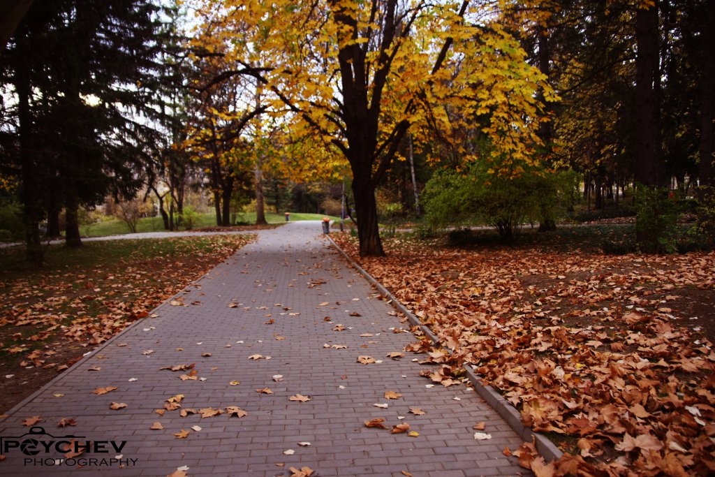 Натиснете снимката за да я уголемите
Име:IMG_1751.jpg
Прегледи:1
Размер:217.0 КБ
ID:6035784