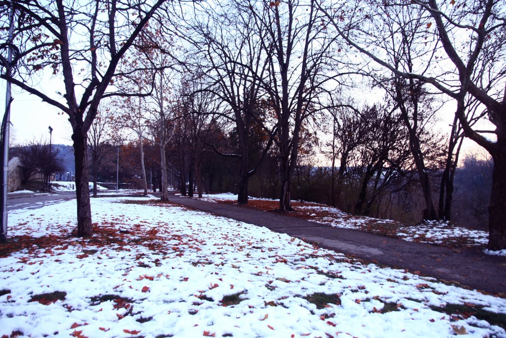 Натиснете снимката за да я уголемите
Име:IMG_2172.jpg
Прегледи:1
Размер:273.6 КБ
ID:6035792