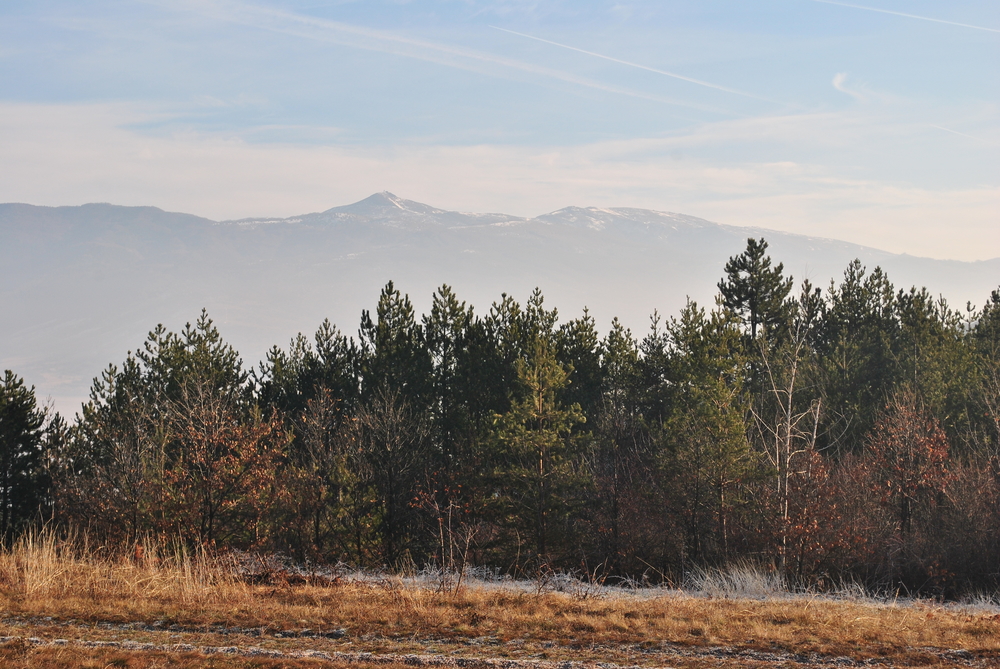 Натиснете снимката за да я уголемите
Име:DSC_7671.JPG
Прегледи:1
Размер:679.0 КБ
ID:6038118