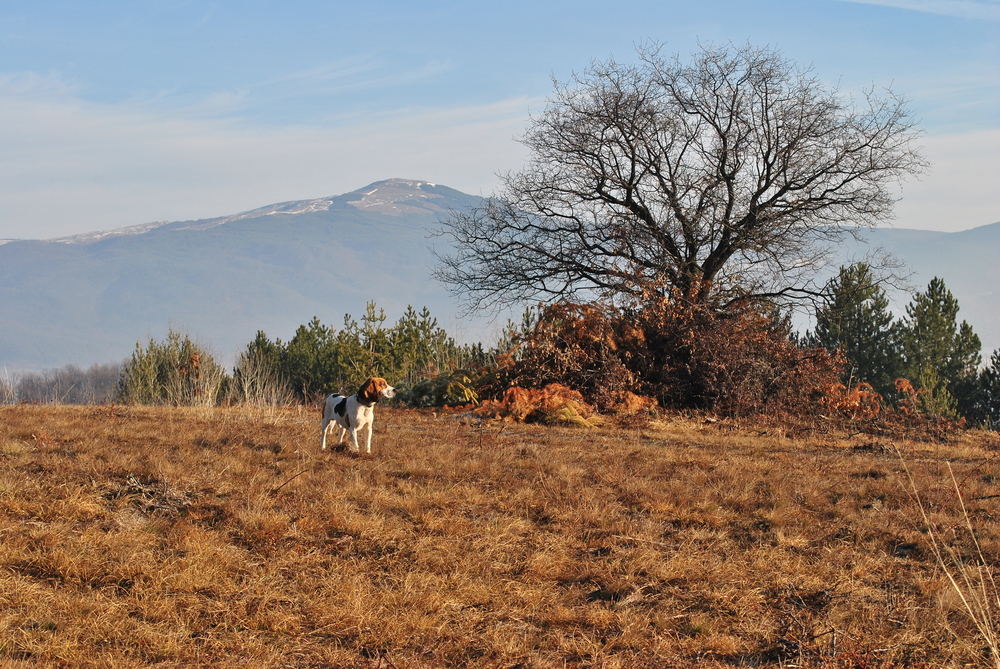 Натиснете снимката за да я уголемите
Име:DSC_7674.JPG
Прегледи:1
Размер:820.9 КБ
ID:6038119