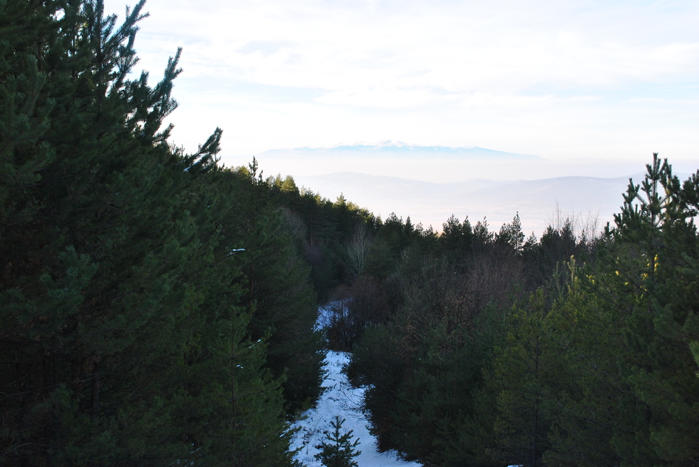 Натиснете снимката за да я уголемите
Име:DSC_7687.JPG
Прегледи:1
Размер:564.8 КБ
ID:6038126