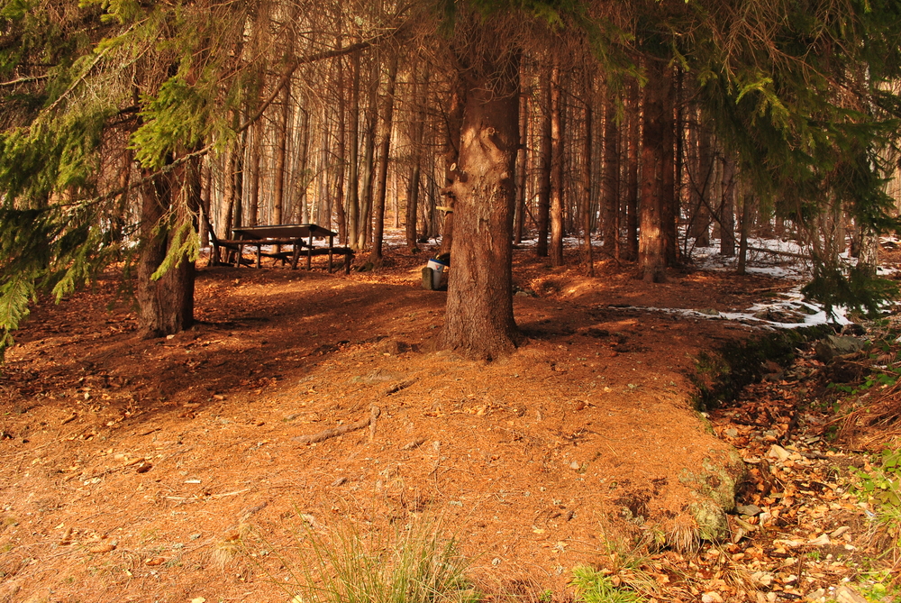 Натиснете снимката за да я уголемите
Име:DSC_7695.JPG
Прегледи:1
Размер:976.3 КБ
ID:6038128