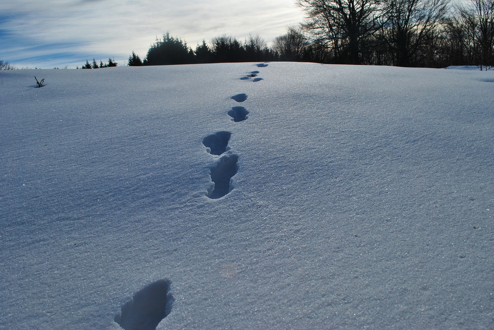 Натиснете снимката за да я уголемите
Име:DSC_7698.JPG
Прегледи:1
Размер:753.8 КБ
ID:6038129