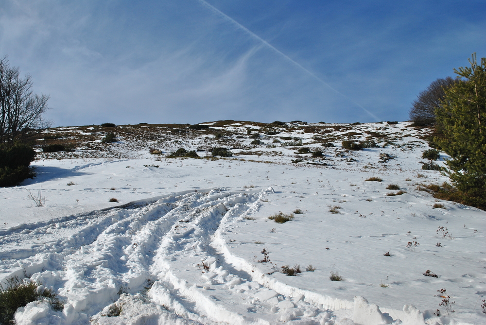 Натиснете снимката за да я уголемите
Име:DSC_7714.JPG
Прегледи:1
Размер:701.5 КБ
ID:6038136