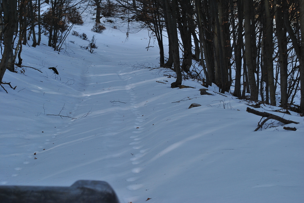 Натиснете снимката за да я уголемите
Име:DSC_7716.JPG
Прегледи:1
Размер:647.7 КБ
ID:6038137