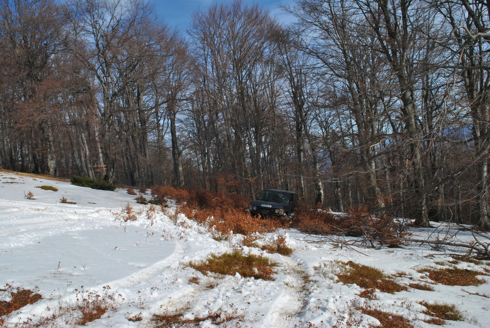 Натиснете снимката за да я уголемите
Име:DSC_7745.JPG
Прегледи:1
Размер:860.0 КБ
ID:6038145