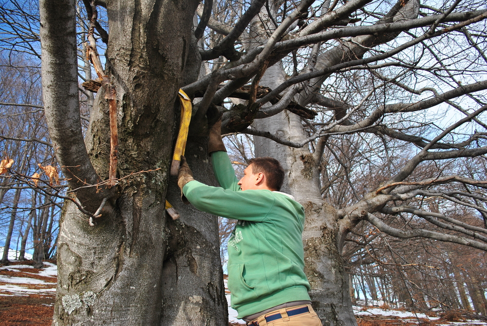 Натиснете снимката за да я уголемите
Име:DSC_7751.JPG
Прегледи:1
Размер:914.6 КБ
ID:6038147