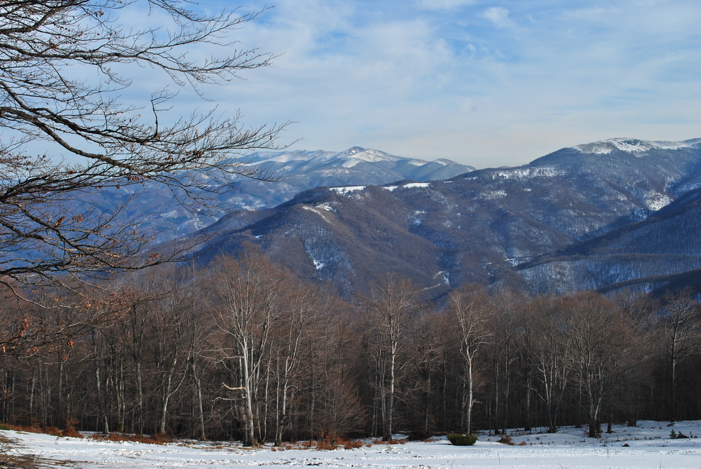 Натиснете снимката за да я уголемите
Име:DSC_7765.JPG
Прегледи:1
Размер:740.4 КБ
ID:6038154