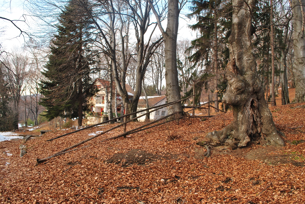 Натиснете снимката за да я уголемите
Име:DSC_7769.JPG
Прегледи:1
Размер:1,007.3 КБ
ID:6038156