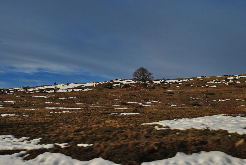 Натиснете снимката за да я уголемите
Име:DSC_7789.JPG
Прегледи:1
Размер:595.8 КБ
ID:6038162