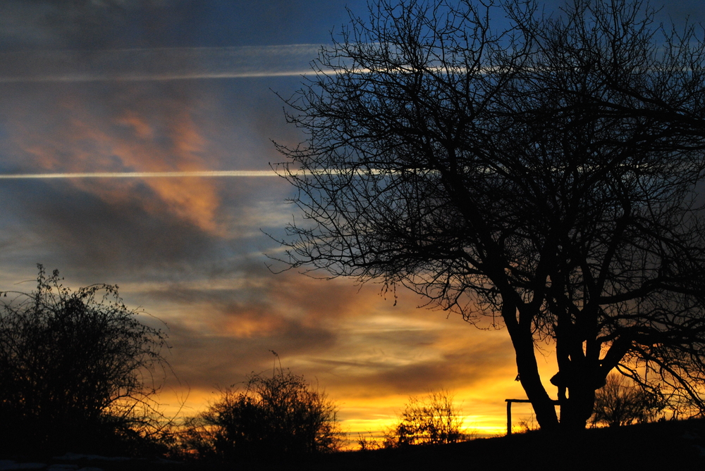 Натиснете снимката за да я уголемите
Име:DSC_7814.JPG
Прегледи:1
Размер:712.3 КБ
ID:6038167