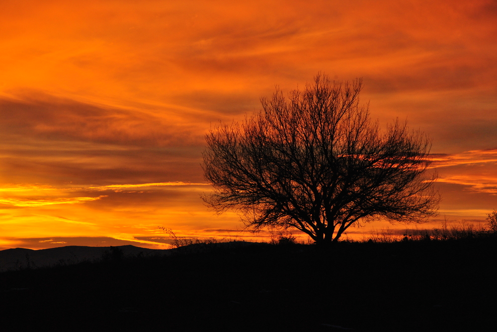 Натиснете снимката за да я уголемите
Име:DSC_7821.JPG
Прегледи:1
Размер:594.7 КБ
ID:6038168