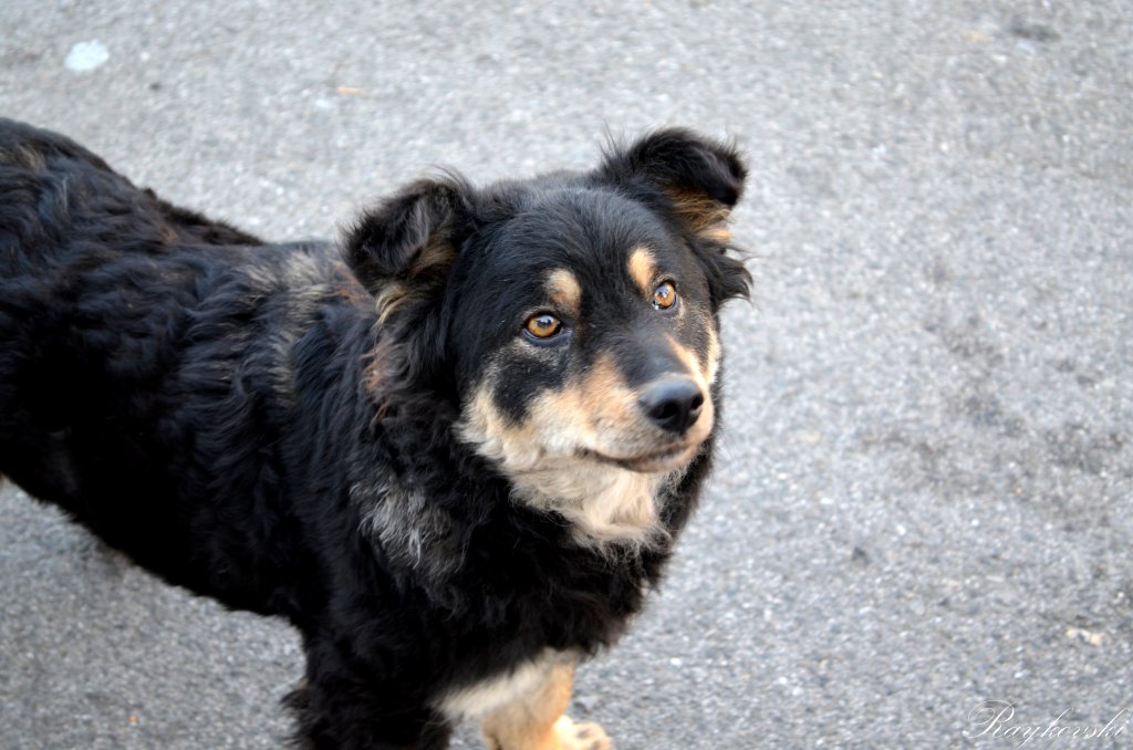 Натиснете снимката за да я уголемите
Име:DSC_0018.jpg
Прегледи:1
Размер:118.6 КБ
ID:6042143