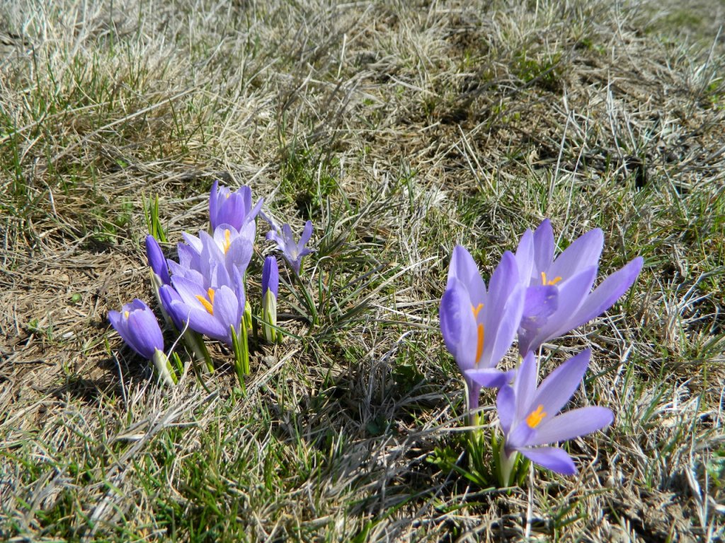 Натиснете снимката за да я уголемите
Име:DSCN9155 (1280x960).jpg
Прегледи:1
Размер:310.1 КБ
ID:6051409