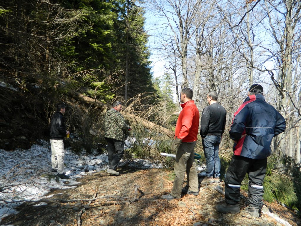 Натиснете снимката за да я уголемите
Име:DSCN9163 (1280x960).jpg
Прегледи:1
Размер:283.5 КБ
ID:6051415
