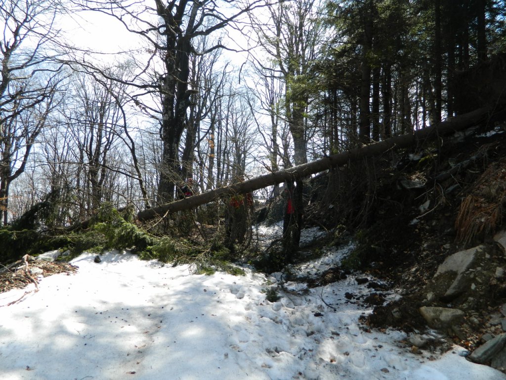 Натиснете снимката за да я уголемите
Име:DSCN9167 (1280x960).jpg
Прегледи:1
Размер:244.5 КБ
ID:6051418