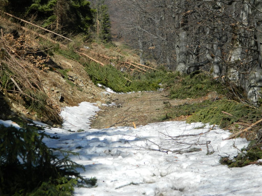 Натиснете снимката за да я уголемите
Име:DSCN9168 (1280x960).jpg
Прегледи:1
Размер:232.3 КБ
ID:6051419