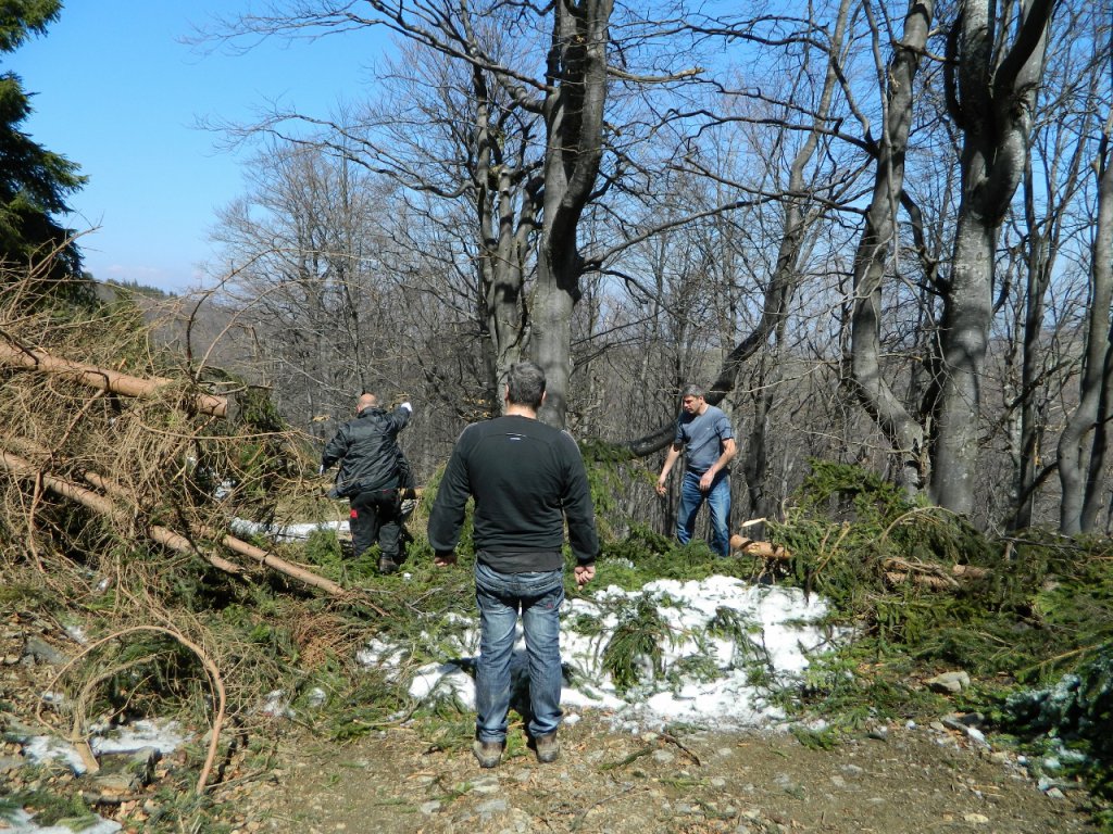 Натиснете снимката за да я уголемите
Име:DSCN9173 (1280x960).jpg
Прегледи:1
Размер:299.4 КБ
ID:6051422