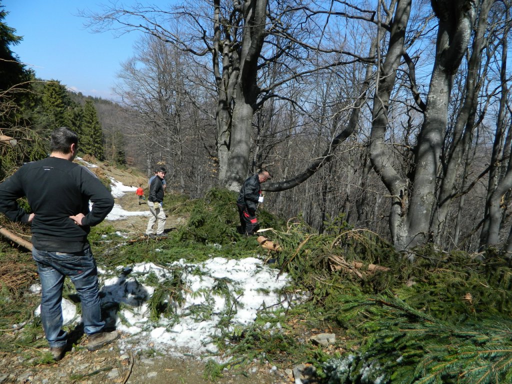 Натиснете снимката за да я уголемите
Име:DSCN9174 (1280x960).jpg
Прегледи:1
Размер:277.8 КБ
ID:6051423