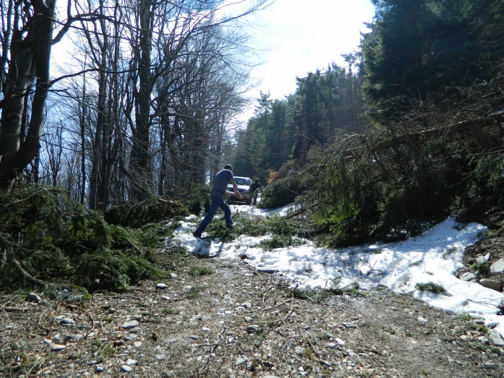 Натиснете снимката за да я уголемите
Име:DSCN9175 (1280x960).jpg
Прегледи:1
Размер:273.0 КБ
ID:6051424