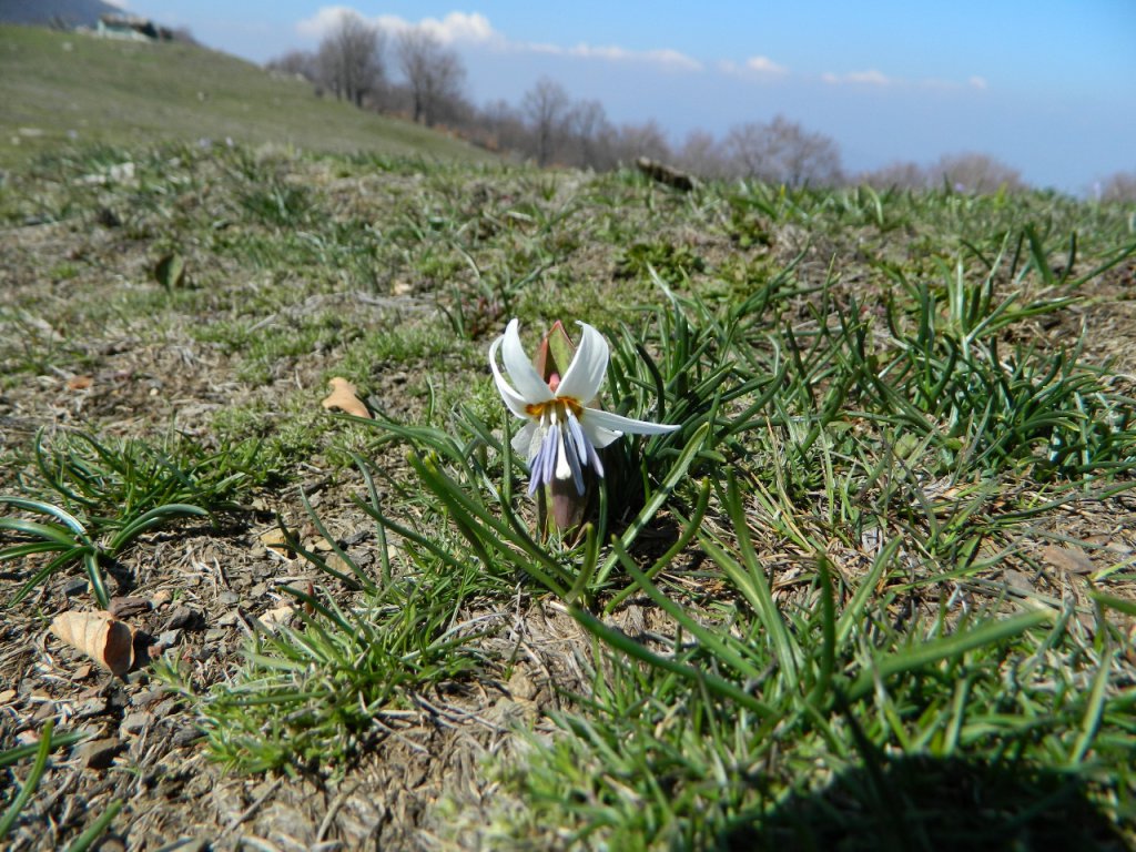 Натиснете снимката за да я уголемите
Име:DSCN9185 (1280x960).jpg
Прегледи:1
Размер:219.4 КБ
ID:6051433