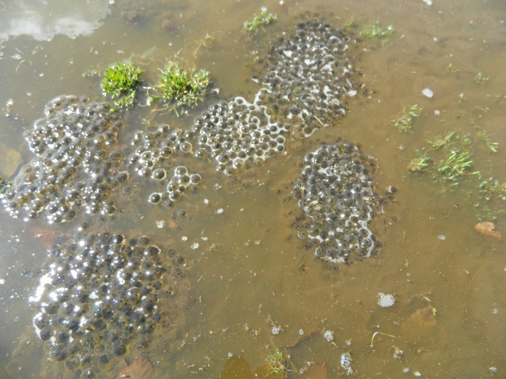 Натиснете снимката за да я уголемите
Име:DSCN9192 (1280x960).jpg
Прегледи:1
Размер:143.9 КБ
ID:6051434