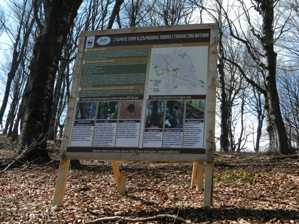 Натиснете снимката за да я уголемите
Име:DSCN9197 (1280x960).jpg
Прегледи:1
Размер:286.5 КБ
ID:6051436