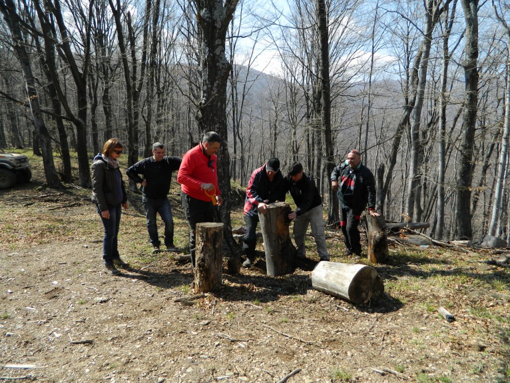 Натиснете снимката за да я уголемите
Име:DSCN9213 (1280x960).jpg
Прегледи:1
Размер:311.1 КБ
ID:6051443