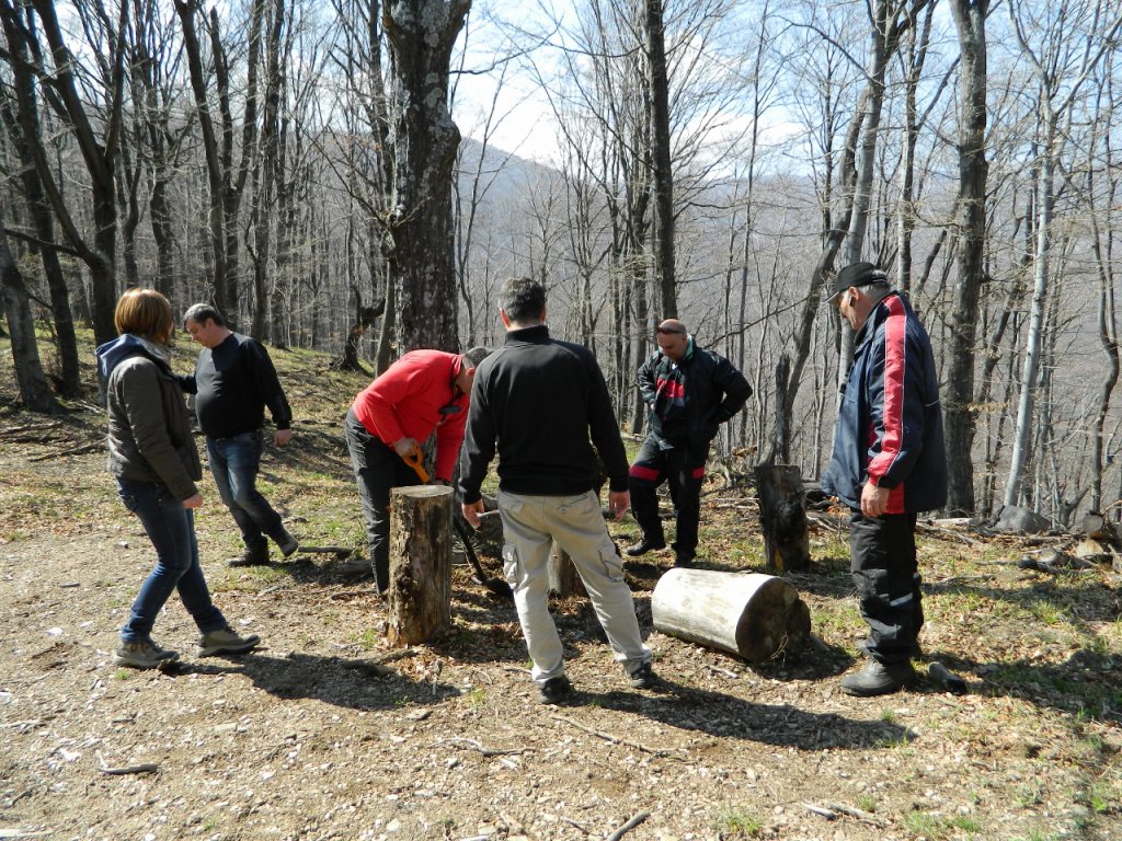 Натиснете снимката за да я уголемите
Име:DSCN9214 (1280x960).jpg
Прегледи:1
Размер:301.1 КБ
ID:6051444
