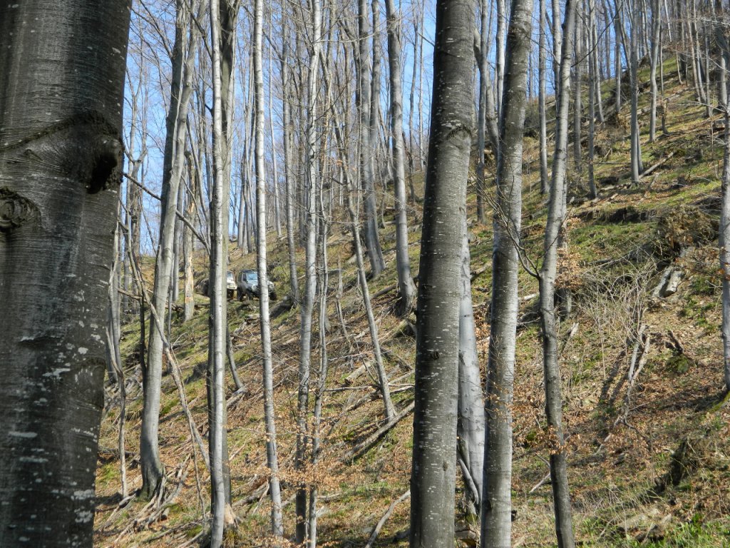 Натиснете снимката за да я уголемите
Име:DSCN9233 (1280x960).jpg
Прегледи:1
Размер:292.3 КБ
ID:6051463