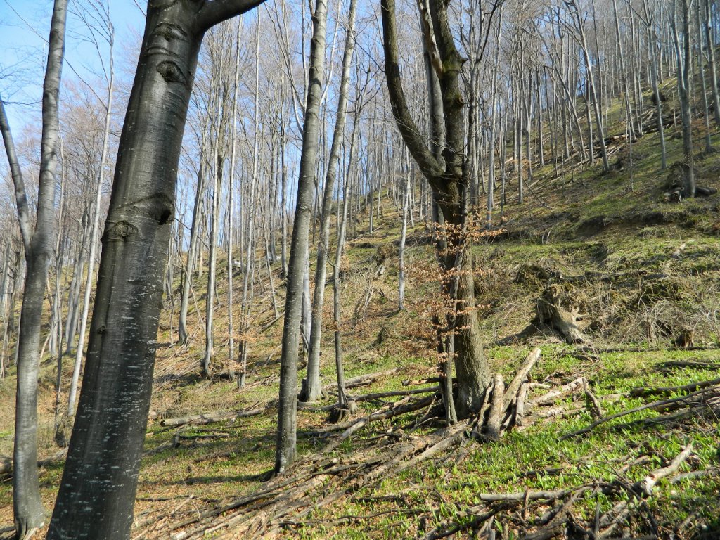 Натиснете снимката за да я уголемите
Име:DSCN9234 (1280x960).jpg
Прегледи:1
Размер:315.5 КБ
ID:6051464