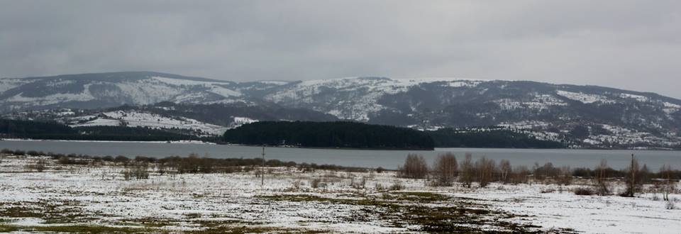 Натиснете снимката за да я уголемите
Име:10254042_10152099025844702_1036605830450044599_n.jpg
Прегледи:1
Размер:45.3 КБ
ID:6055702