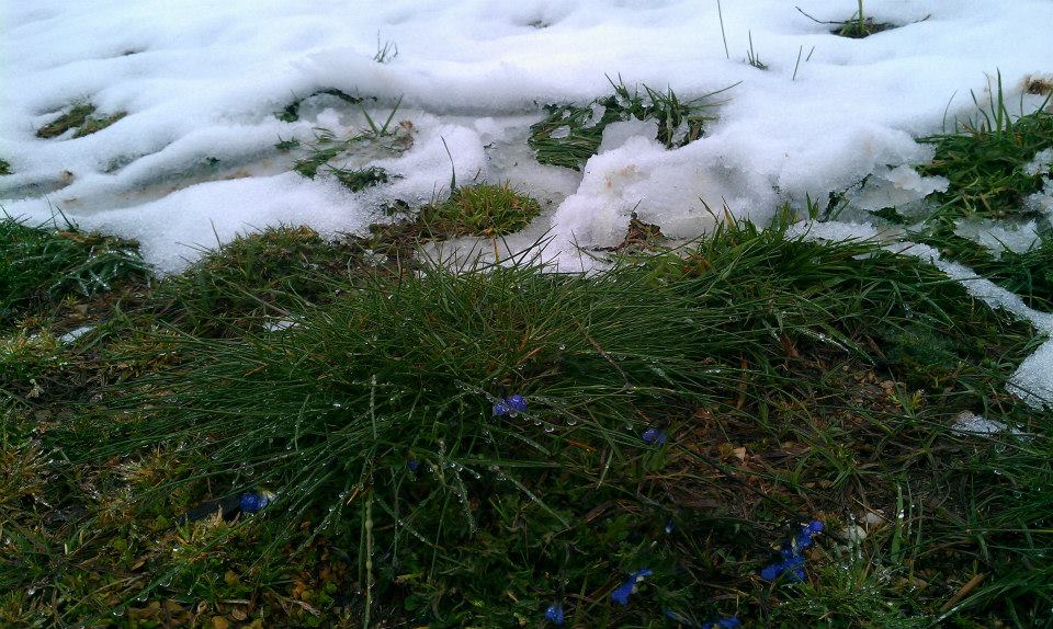 Натиснете снимката за да я уголемите
Име:1526179_10152099026499702_1874401401292831936_n.jpg
Прегледи:1
Размер:136.7 КБ
ID:6055705