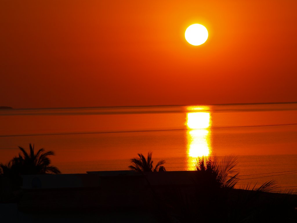 Натиснете снимката за да я уголемите
Име:P5317441.jpg
Прегледи:1
Размер:52.6 КБ
ID:6059756