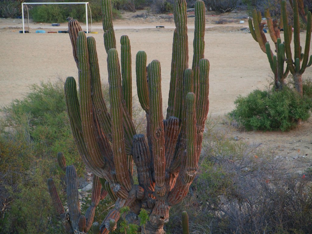 Натиснете снимката за да я уголемите
Име:P5317433.jpg
Прегледи:1
Размер:192.2 КБ
ID:6059766