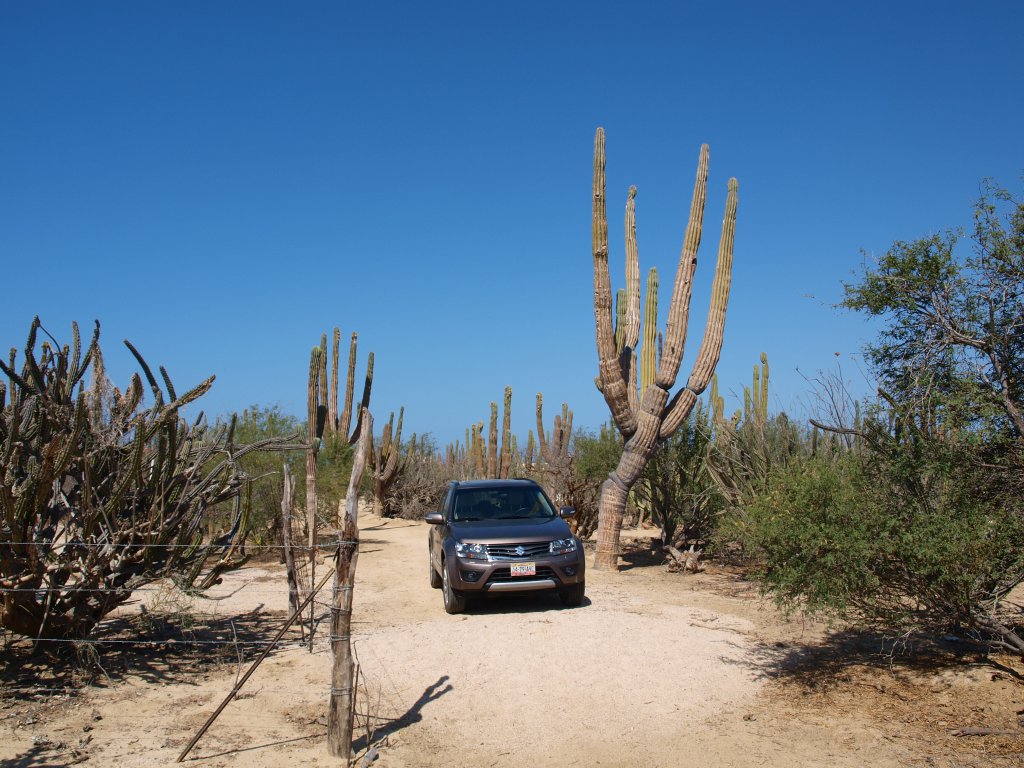 Натиснете снимката за да я уголемите
Име:P6127743.jpg
Прегледи:1
Размер:175.4 КБ
ID:6059771
