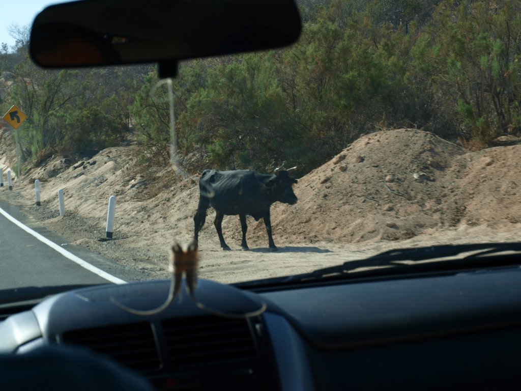 Натиснете снимката за да я уголемите
Име:P6057458.jpg
Прегледи:1
Размер:132.0 КБ
ID:6059773