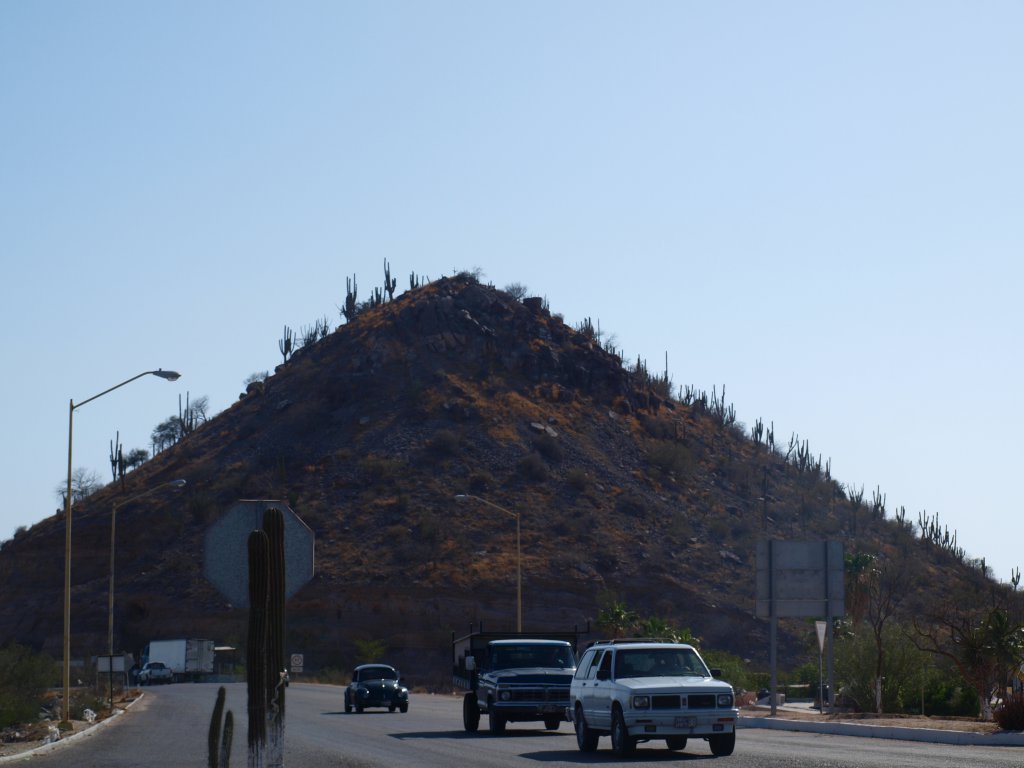 Натиснете снимката за да я уголемите
Име:P6057468.jpg
Прегледи:1
Размер:78.5 КБ
ID:6059774