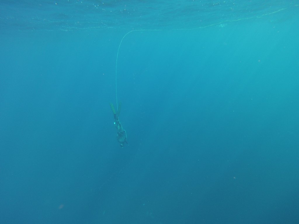 Натиснете снимката за да я уголемите
Име:GOPR0209.jpg
Прегледи:1
Размер:41.1 КБ
ID:6059806