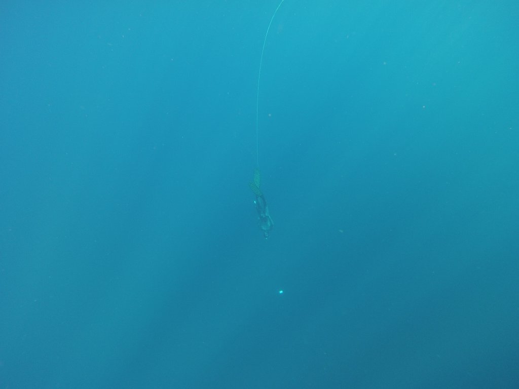 Натиснете снимката за да я уголемите
Име:GOPR0210.jpg
Прегледи:1
Размер:34.9 КБ
ID:6059807