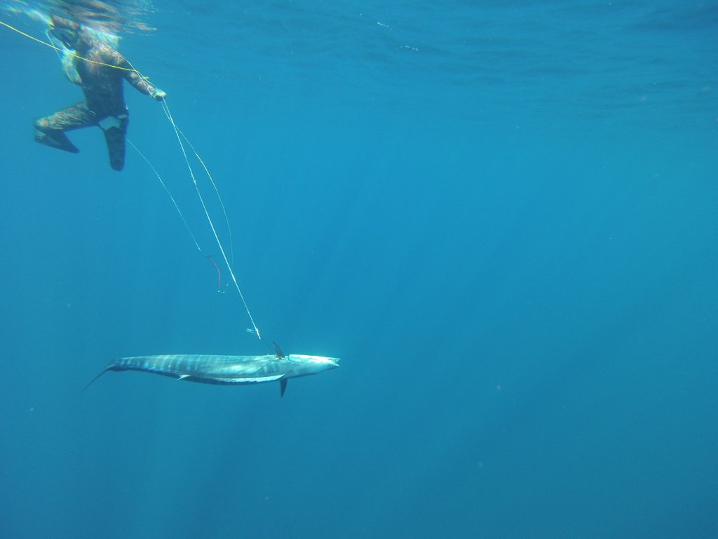 Натиснете снимката за да я уголемите
Име:GOPR0227.jpg
Прегледи:1
Размер:49.4 КБ
ID:6059808