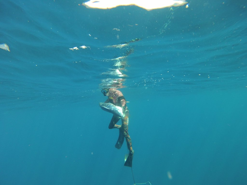 Натиснете снимката за да я уголемите
Име:GOPR0231.jpg
Прегледи:1
Размер:66.4 КБ
ID:6059809