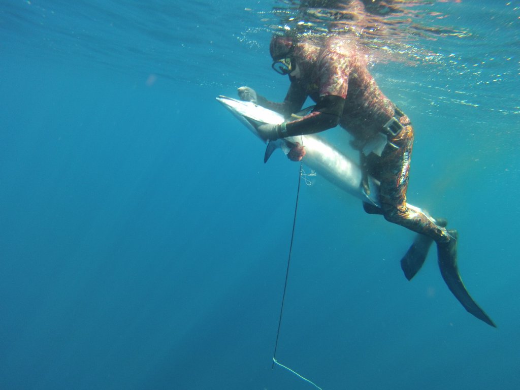 Натиснете снимката за да я уголемите
Име:GOPR0237.jpg
Прегледи:1
Размер:76.6 КБ
ID:6059810