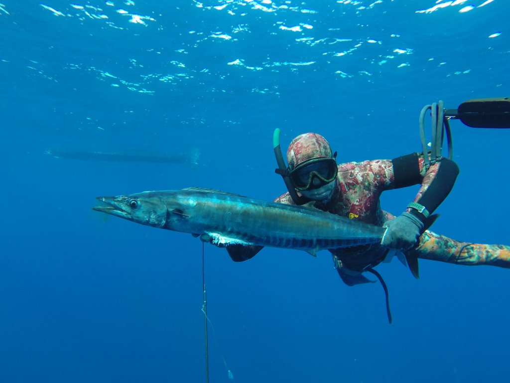 Натиснете снимката за да я уголемите
Име:GOPR2595.jpg
Прегледи:1
Размер:79.6 КБ
ID:6059811