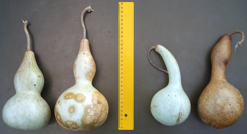 Натиснете снимката за да я уголемите
Име:kratuni2010.jpg
Прегледи:1
Размер:83.2 КБ
ID:6068290