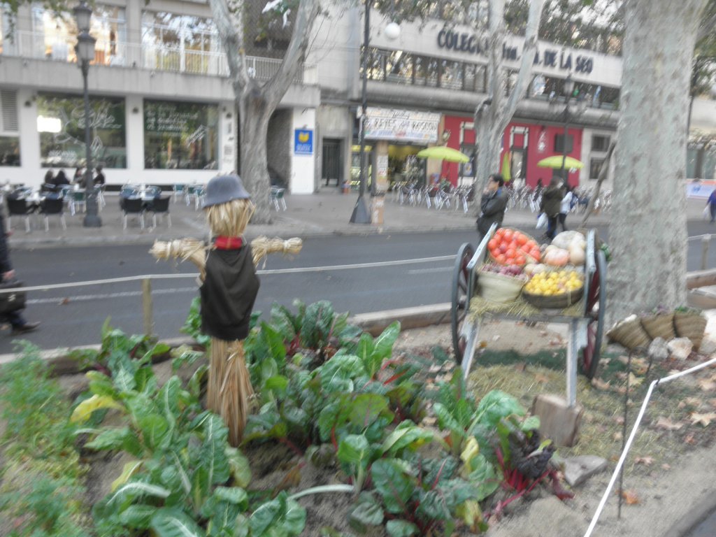 Натиснете снимката за да я уголемите
Име:PC281114.jpg
Прегледи:1
Размер:159.3 КБ
ID:6106008