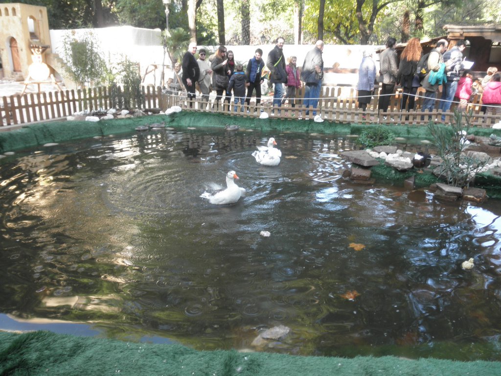 Натиснете снимката за да я уголемите
Име:PC281117.jpg
Прегледи:1
Размер:199.4 КБ
ID:6106009