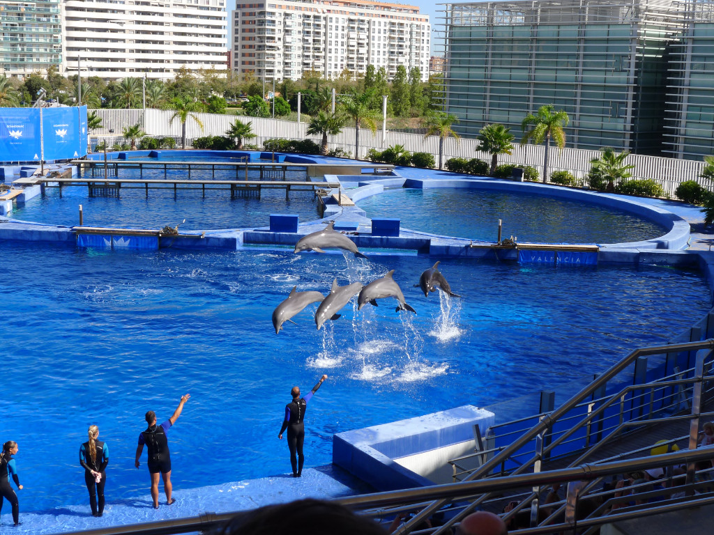 Натиснете снимката за да я уголемите
Име:P1060619.jpg
Прегледи:1
Размер:389.4 КБ
ID:5731612